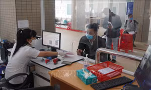 Việt Nam thực hiện giám sát bệnh đậu mùa khỉ như thế nào? 