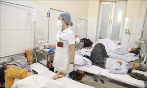 Dịch sốt xuất huyết: Hà Nội số ca vượt ngưỡng cảnh báo, TP Hồ Chí Minh áp dụng kinh nghiệm chống dịch COVID-19