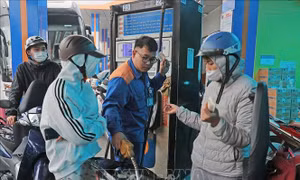 Đưa xăng E10 ra thị trường, giải pháp chủ động năng lượng