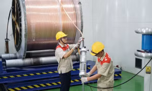 Doanh nghiệp chuyển đổi xanh, chuyển đổi số hướng tới người tiêu dùng