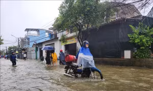 Bộ Y tế cảnh báo các dịch bệnh có nguy cơ bùng phát do bão lũ 