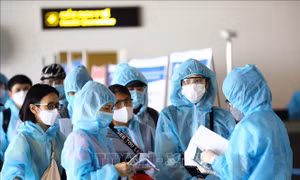 10 hoạt động và sự kiện nổi bật của công tác Mặt trận năm 2020 