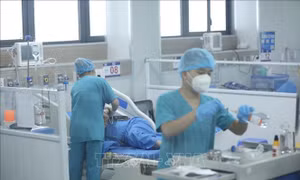 Biến thể BA.5 của chủng Omicron đang chiếm ưu thế tại nước ta