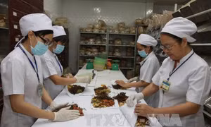 Thuốc y học cổ truyền hỗ trợ điều trị COVID-19 tại các vùng dịch