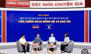 Thúc đẩy sử dụng năng lượng tiết kiệm và hiệu quả