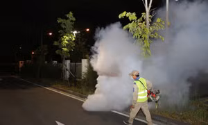 Việt Nam chưa có ca bệnh Chikungunya nhưng luôn đề cao cảnh giác
