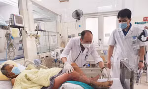 Nhiễm vi khuẩn Vibrio vulnificus sống ở vùng nước lợ, một ngư dân nguy kịch