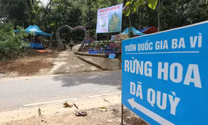Vườn Quốc gia Ba Vì tạm dừng đón khách tham quan để chống dịch COVID-19