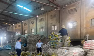 Thanh Hóa: Xử lý vụ phát hiện hơn 67 tấn phân bón giả mạo nhãn hiệu 