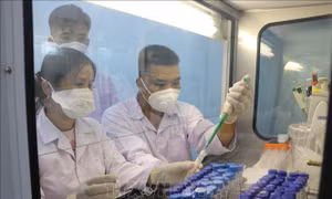 Hà Nội lấy mẫu giải trình tự gen tìm biến thể mới của virus SARS-CoV-2