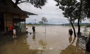 Bộ Y tế hướng dẫn nguyên tắc phòng bệnh cho người dân vùng lũ