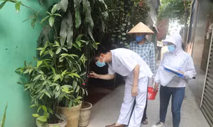Chuyên gia cảnh báo Hà Nội có thể là 'điểm nóng' về dịch sốt xuất huyết