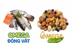 Omega thực vật, dưỡng chất lành phát triển trí não trẻ từ 1 ngày tuổi