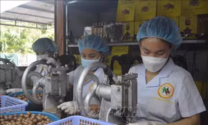 Cùng phụ nữ khởi nghiệp, vượt khó khăn trong đại dịch COVID-19