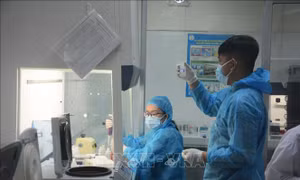 Đà Nẵng thông tin kết quả điều tra, giám sát 11 bệnh nhân COVID-19 mới ghi nhận