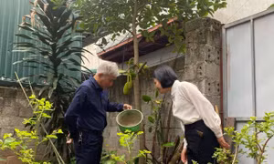 Hà Nội: Số ca mắc sởi vẫn cao, cảnh giác với dịch sốt xuất huyết