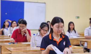 Đoạn trích 'Hạnh phúc' của nhà thơ Giang Nam vào đề thi lớp 10 Hà Nội