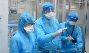 Đà Nẵng triển khai kế hoạch đưa người có nhu cầu trở về nơi cư trú
