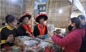 Khai mạc Hội chợ Đặc sản Vùng miền Việt Nam 2017