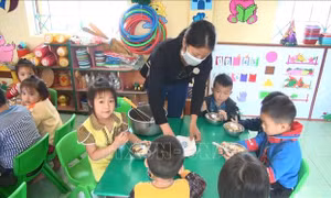 Cần nhiều 'kênh' giám sát bữa ăn trường học