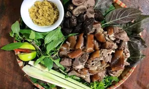 Những ai không nên ăn thịt chó?