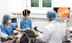 Đào tạo bác sỹ chuyên sâu không thể như thạc sỹ, tiến sỹ