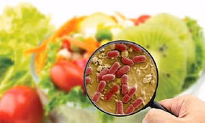 Đắk Lắk: Xác định nguyên nhân ngộ độc thực phẩm tại Trường Hoàng Việt