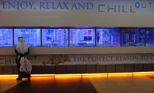 Lạnh cóng ở quán cafe băng Dubai ảnh 6