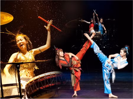 Trình diễn nghệ thuật võ Taekwondo ảnh 2