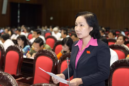 Kỳ họp thứ 5, Quốc hội khóa VIII: Tiếp tục thảo luận một số dự án luật ảnh 1