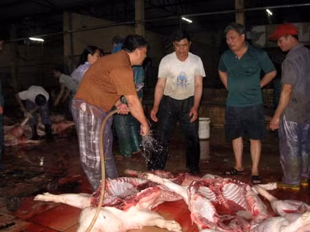 Xử lý nghiêm để siết chặt hoạt động lò mổ ảnh 1
