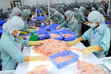 Nâng tầm cá tra xuất khẩu ảnh 1