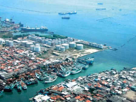 Tanjung Priok sẽ là cảng biển lớn nhất Inđônêxia ảnh 1