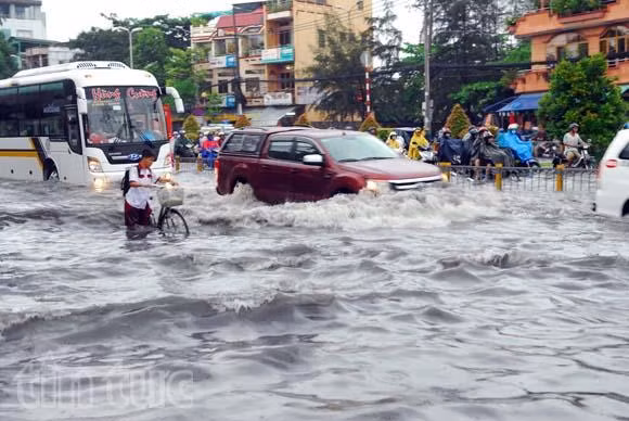 TP.HCM ngập sâu trong cơn mưa lớn kéo dài ảnh 3