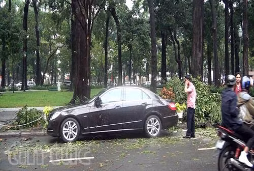 Nhánh cây gãy đè trúng “xế hộp” và xe máy ảnh 1
