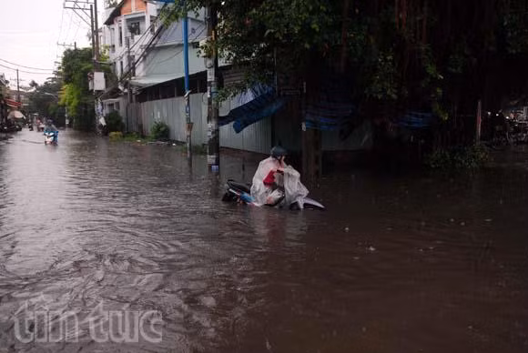 TP.HCM ngập sâu trong cơn mưa lớn kéo dài ảnh 1
