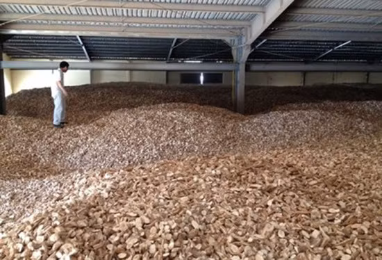 Từ ngày 5/9, dừng thu thuế xuất khẩu sắn lát 5% ảnh 1