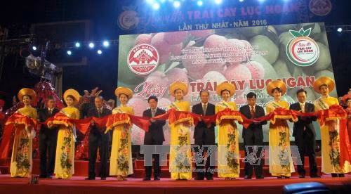 Ngày hội trái cây Lục Ngạn lần thứ nhất ảnh 1