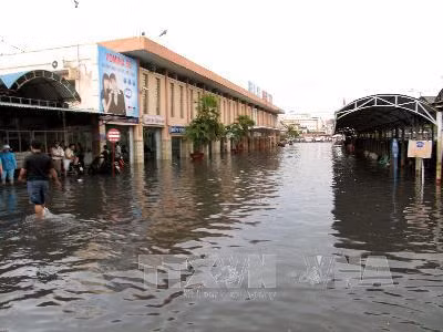 TP Hồ Chí Minh bàn giải pháp cho thoát nước đô thị ảnh 1