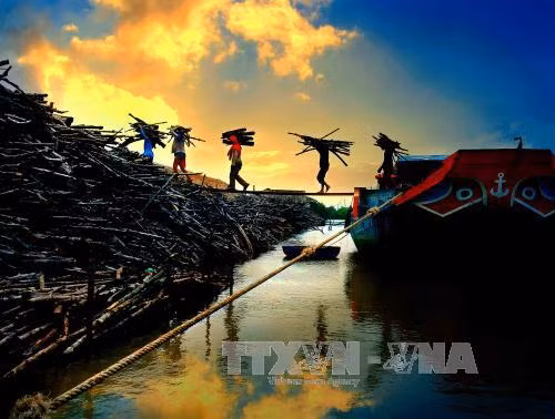 Nhọc nhằn nghề hầm than ở Cà Mau ảnh 2