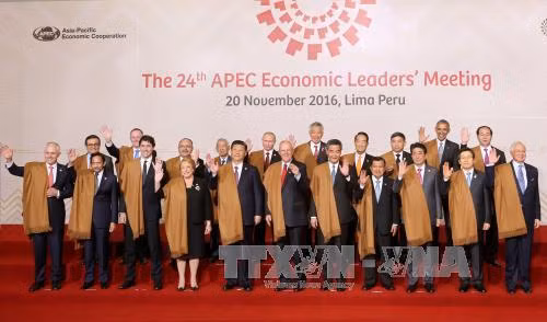 Các thành viên APEC đặt kỳ vọng vào Năm APEC 2017 ở Việt Nam ảnh 1