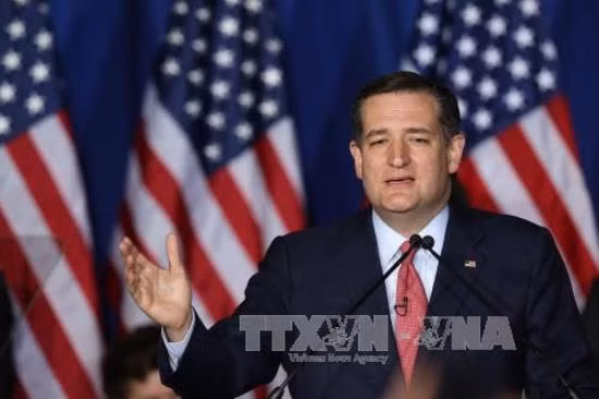 Thượng nghị sỹ Ted Cruz cảnh báo ông Trump về khả năng bạo loạn ảnh 1
