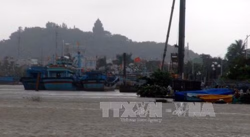 Khẩn trương ứng cứu tàu cá và ngư dân gặp nạn gần đảo Phú Quý ảnh 1