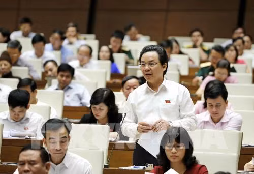 Thực hiện “đan xen” các quy hoạch, tránh phát triển riêng lẻ ảnh 1