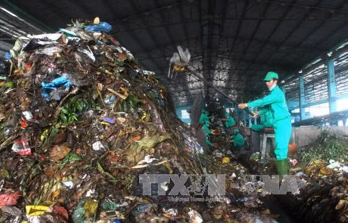 Phân bón hữu cơ từ rác khó tìm đầu ra ảnh 1