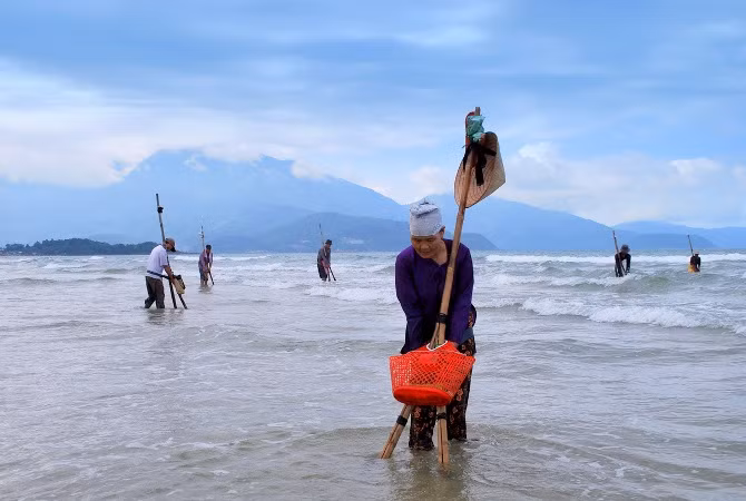 Đi xem cào nghêu trên bãi biển ảnh 1