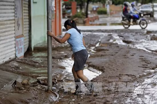 Panama và Mỹ trợ giúp Costa Rica cứu hộ sau bão Otto ảnh 1