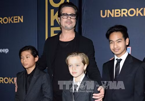 Brad Pitt không bị điều tra về bạo hành con cái ảnh 1