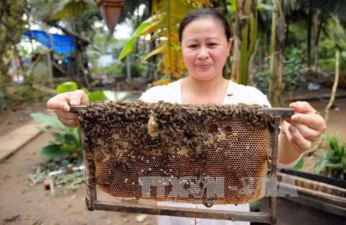 Những lý do khiến bạn "khó cưỡng" Cù lao Thới Sơn ảnh 4