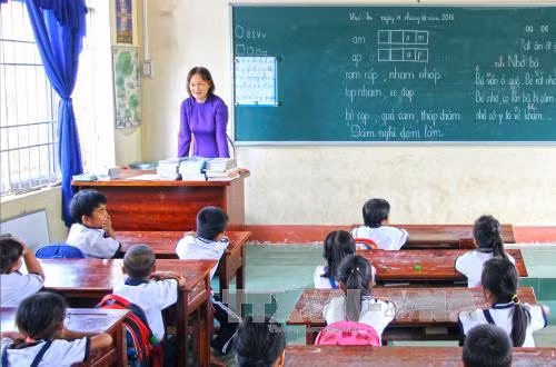 Ở nhà thuê, vẫn hết lòng với học sinh xã đảo ảnh 1